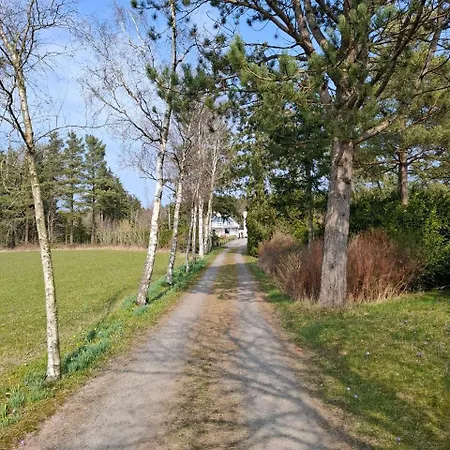 Skovbo