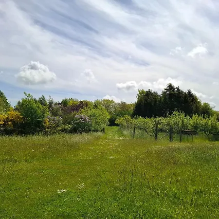 Skovbo Camping Neksø